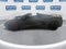 2025 Chevrolet Corvette Stingray 1LT