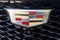 2025 Cadillac Escalade ESV Sport