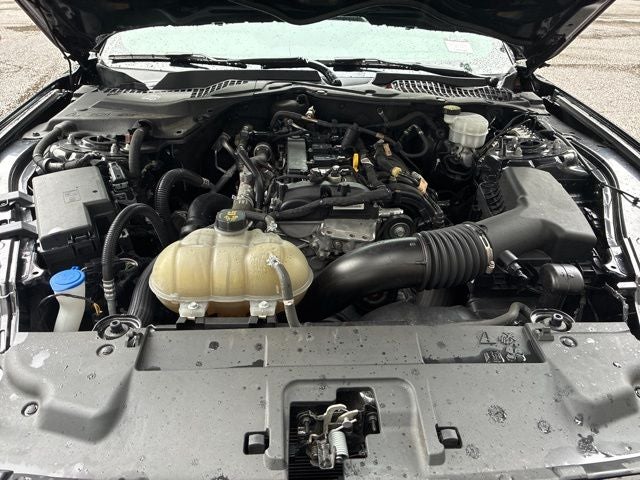 2021 Ford Mustang EcoBoost