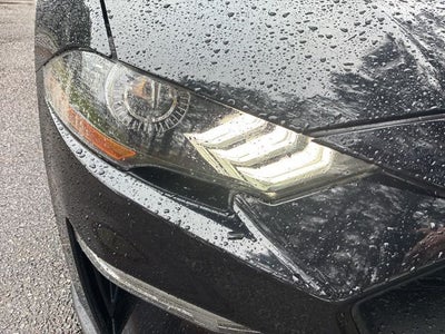 2021 Ford Mustang EcoBoost