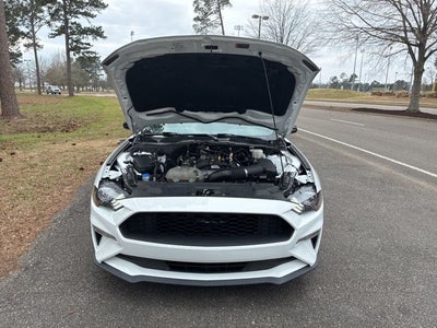 2022 Ford Mustang EcoBoost