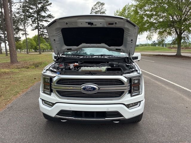 2023 Ford F-150 Limited