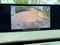 2024 Mazda Mazda CX-50 2.5 S Select Package